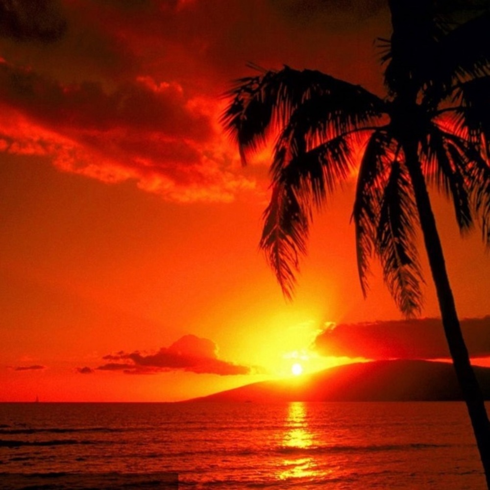 Meet your Posher, Nuno